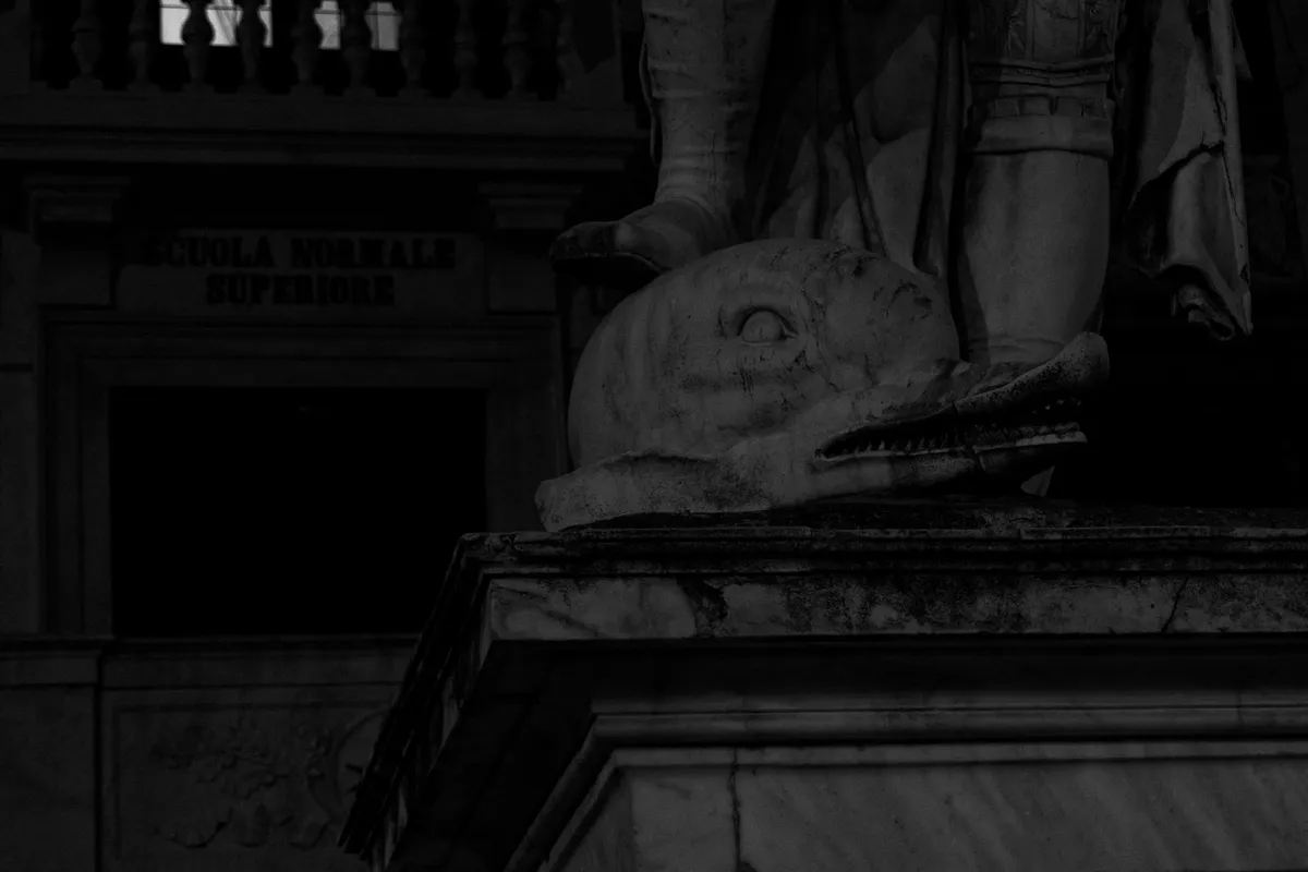Photo from pisa, 20 Dec 2022