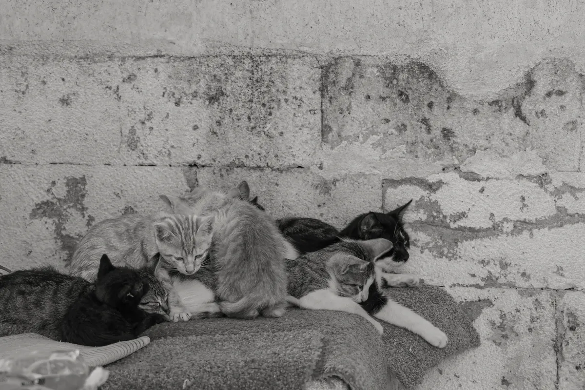 Photo from istanbul, 19 Oct 2023