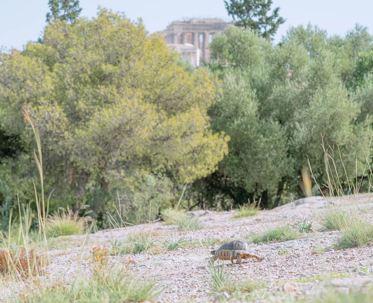 Photo from athens, 22 Oct 2023