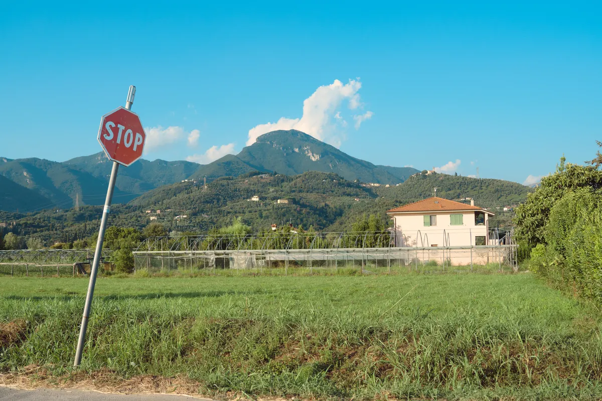 Photo from camaiore, 29 Jul 2024