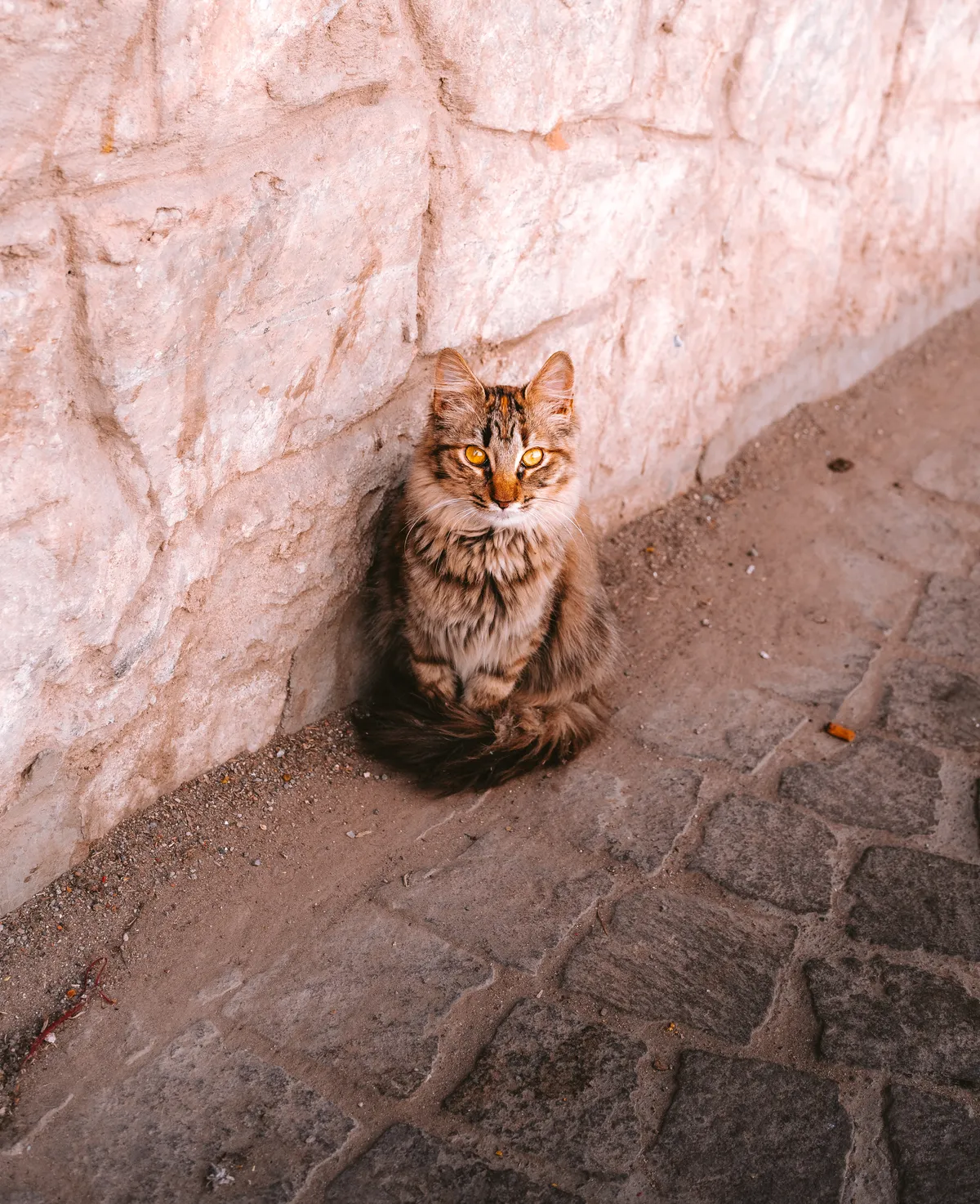 Photo from marrakech, 20 Jan 2025