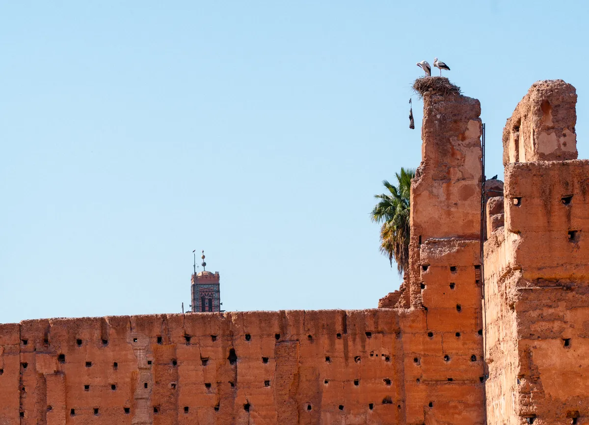 Photo from marrakech, 20 Jan 2025