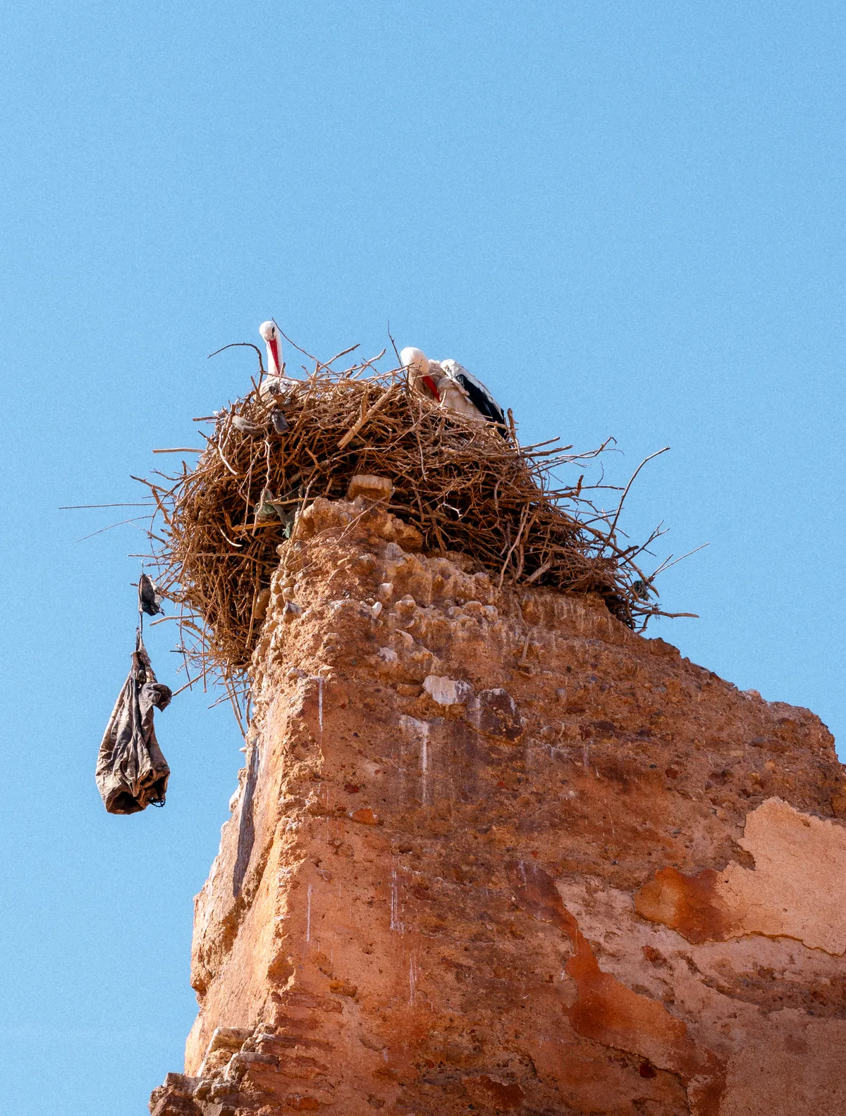 Photo from marrakech, 20 Jan 2025