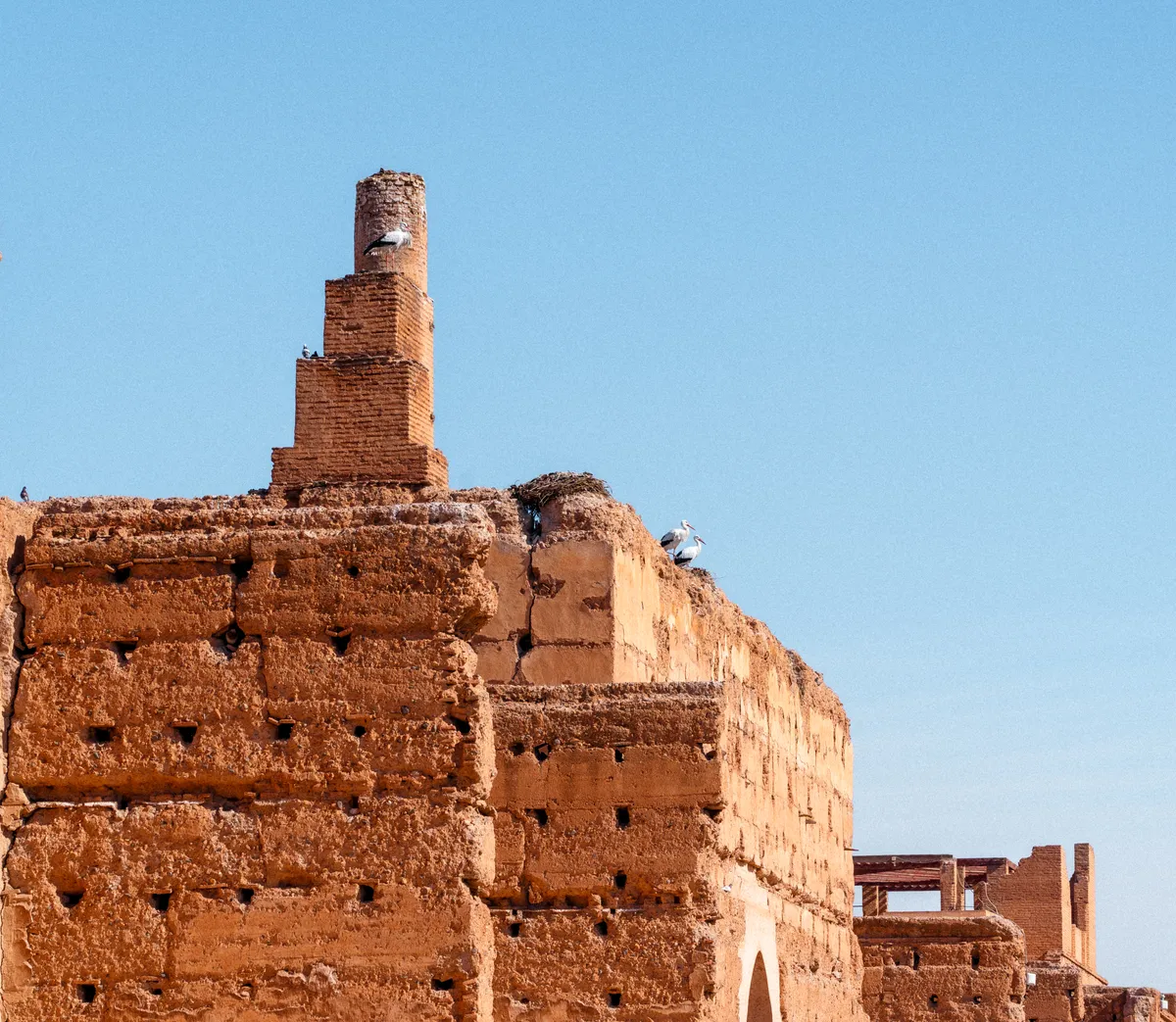 Photo from marrakech, 20 Jan 2025