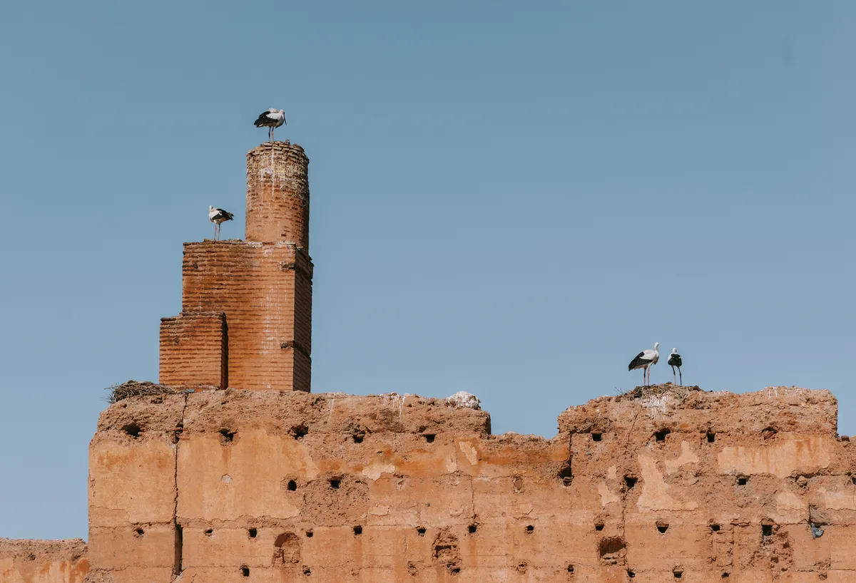 Photo from marrakech, 20 Jan 2025