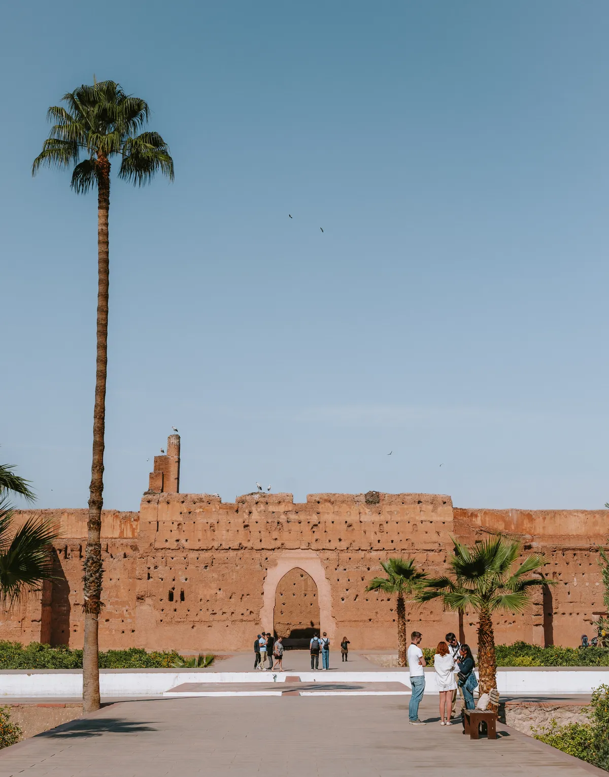Photo from marrakech, 20 Jan 2025