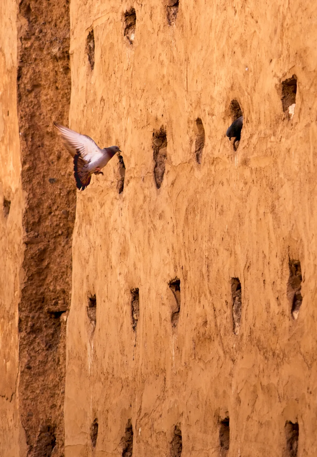 Photo from marrakech, 20 Jan 2025