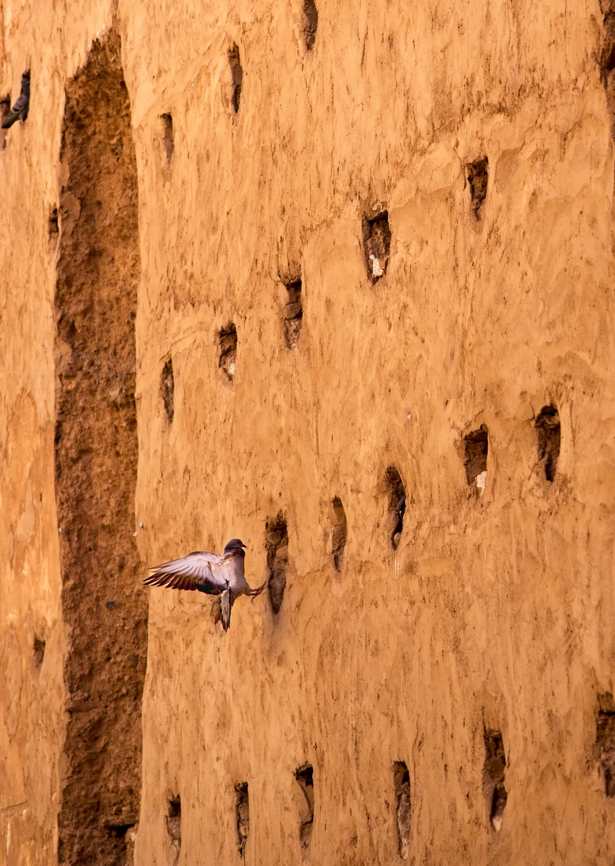Photo from marrakech, 20 Jan 2025