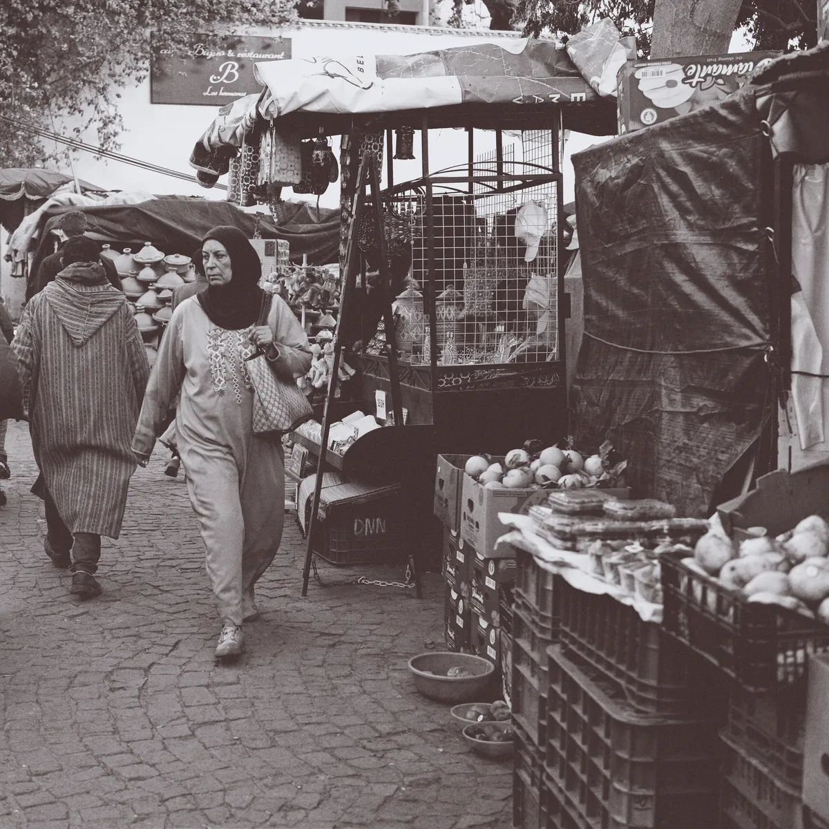 Photo from marrakech, 20 Jan 2025