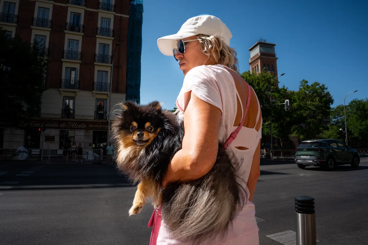 Photo from madrid, 27 Jul 2025
