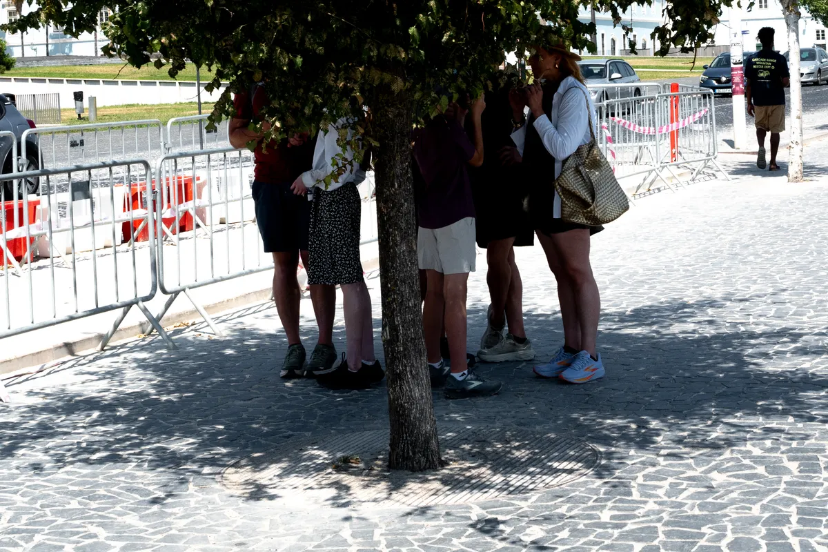 Photo from lisbon, 2 Aug 2025