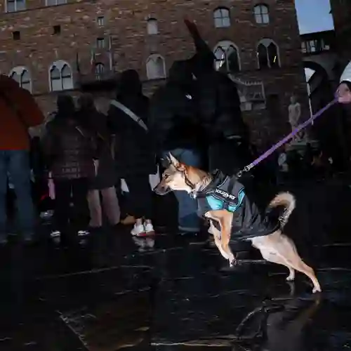 Photo from firenze, 2 Jan 2026