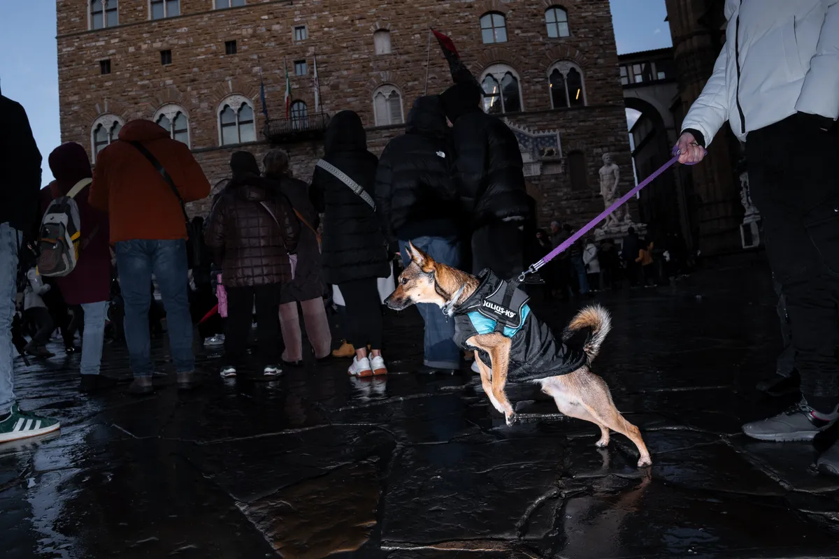 Photo from firenze, 2 Jan 2026